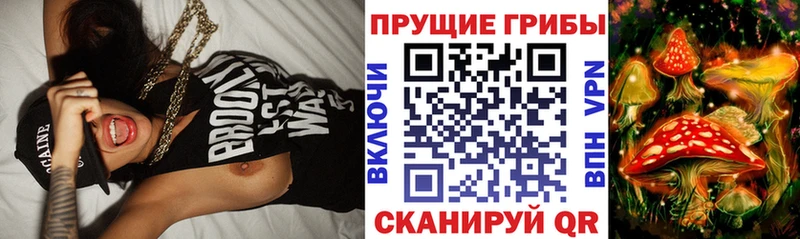 Псилоцибиновые грибы Psilocybine cubensis  Воронеж 